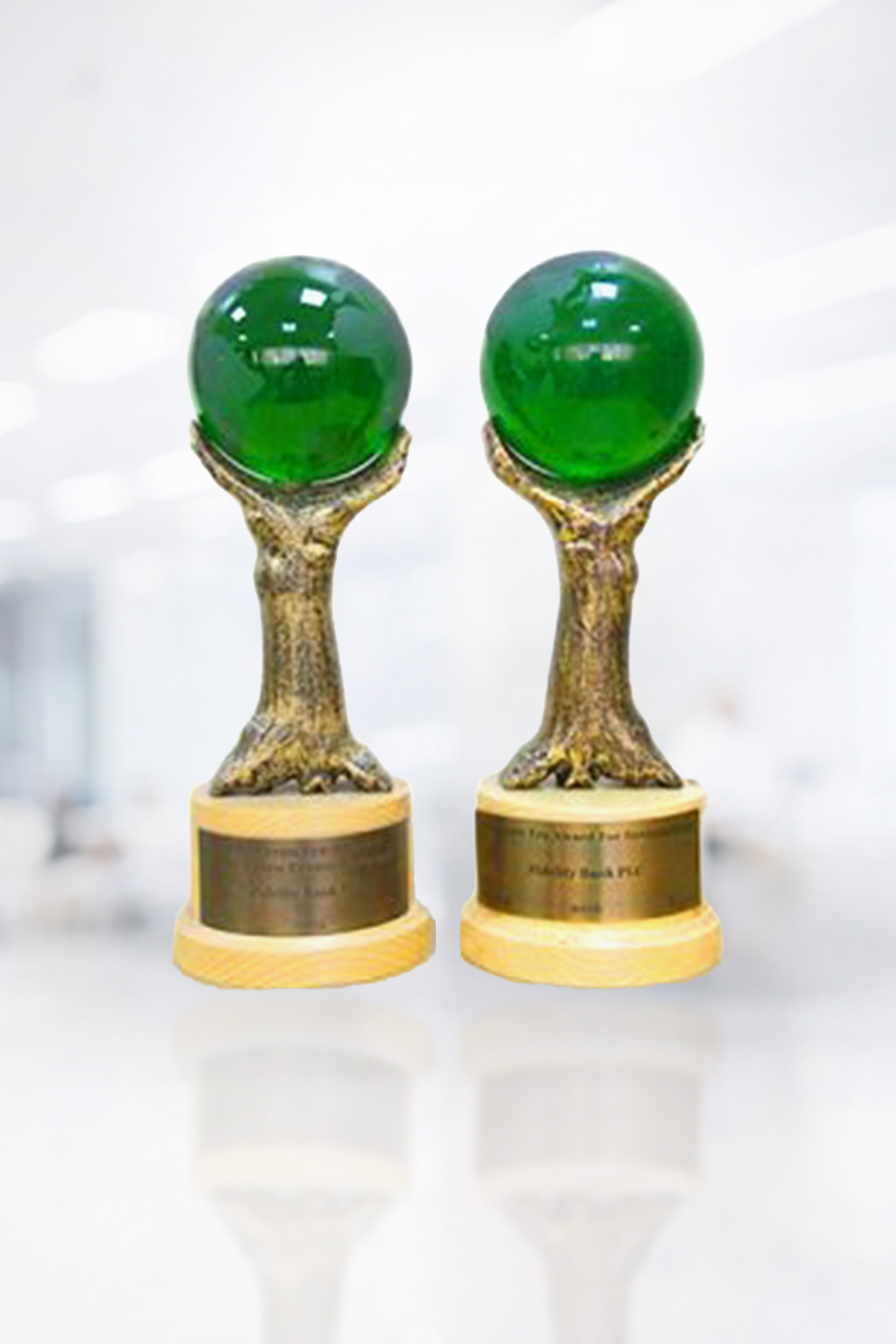 Fidelity-GREEN-ERA-AWARD-2015-2016